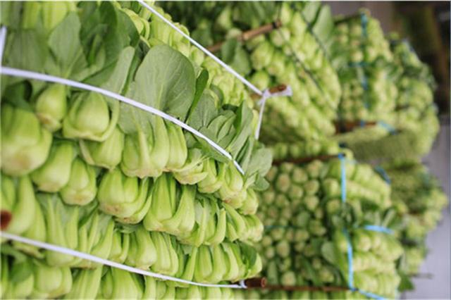 如意餛飩：好吃的餛飩，從細節抓起